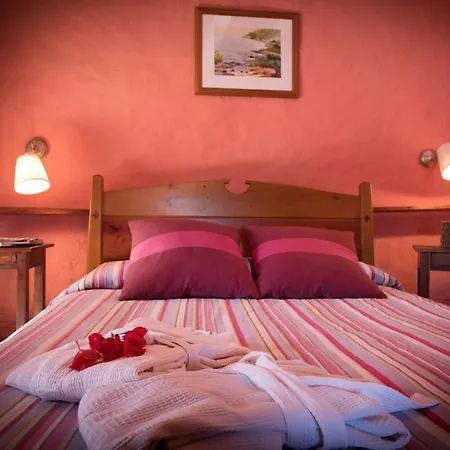 La Olivera Rural Con Piscina Jacuzzi Sauna Y Suites Con Banera Hidro Albinyana
